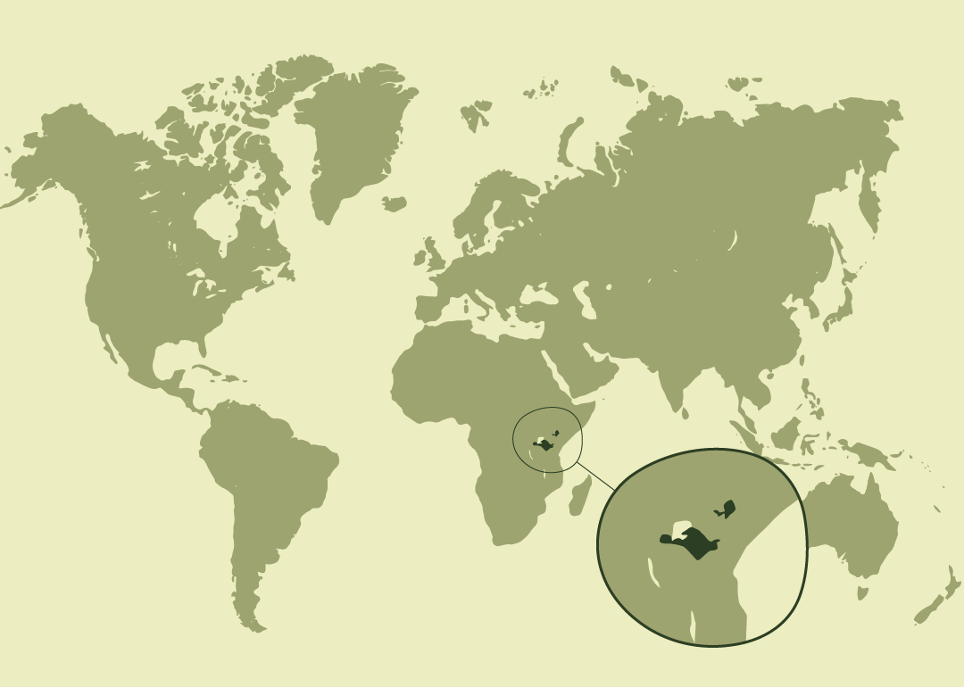 África oriental; residente principalmente en Tanzania, con presencia ocasional en zonas limítrofes de Ruanda y Burundi.