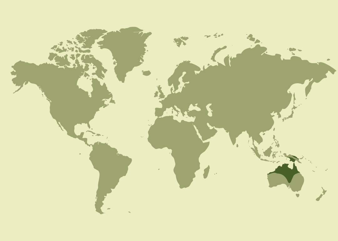 Australia, Indonesia, Papua Nueva Guinea