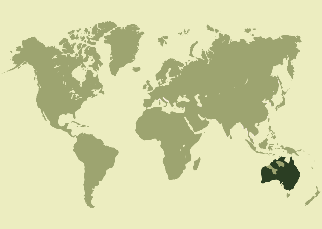 Nativo de Australia, donde se reproduce.