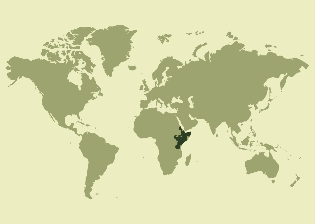 Nativo del este de África; residente en países como Etiopía, Kenia, Somalia, Sudán, Sudán del Sur, Uganda y Tanzania.
