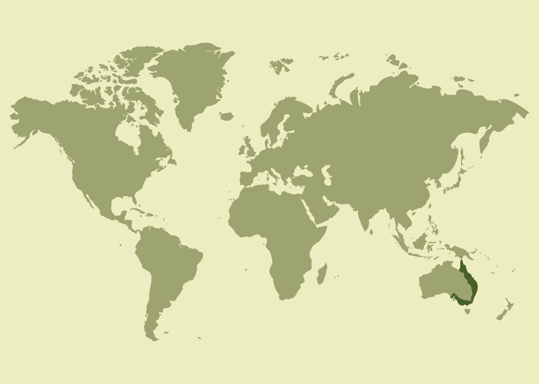 Nativo de Australia, donde es residente.