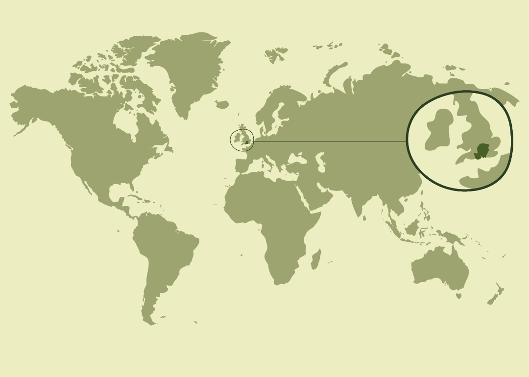 Nativa del sur de Inglaterra (condado de Hampshire); actualmente distribuida en numerosos países como raza ganadera.