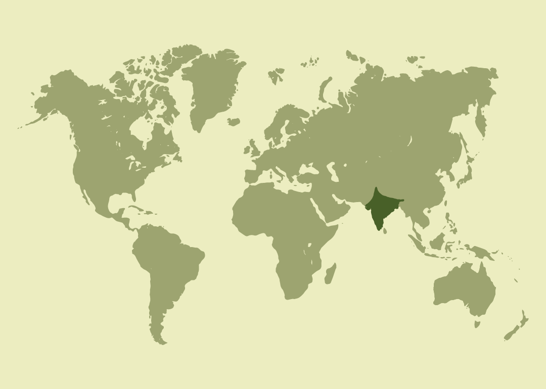 Nativo del sur de Asia; originario de la India, el este de Pakistán y Sri Lanka.