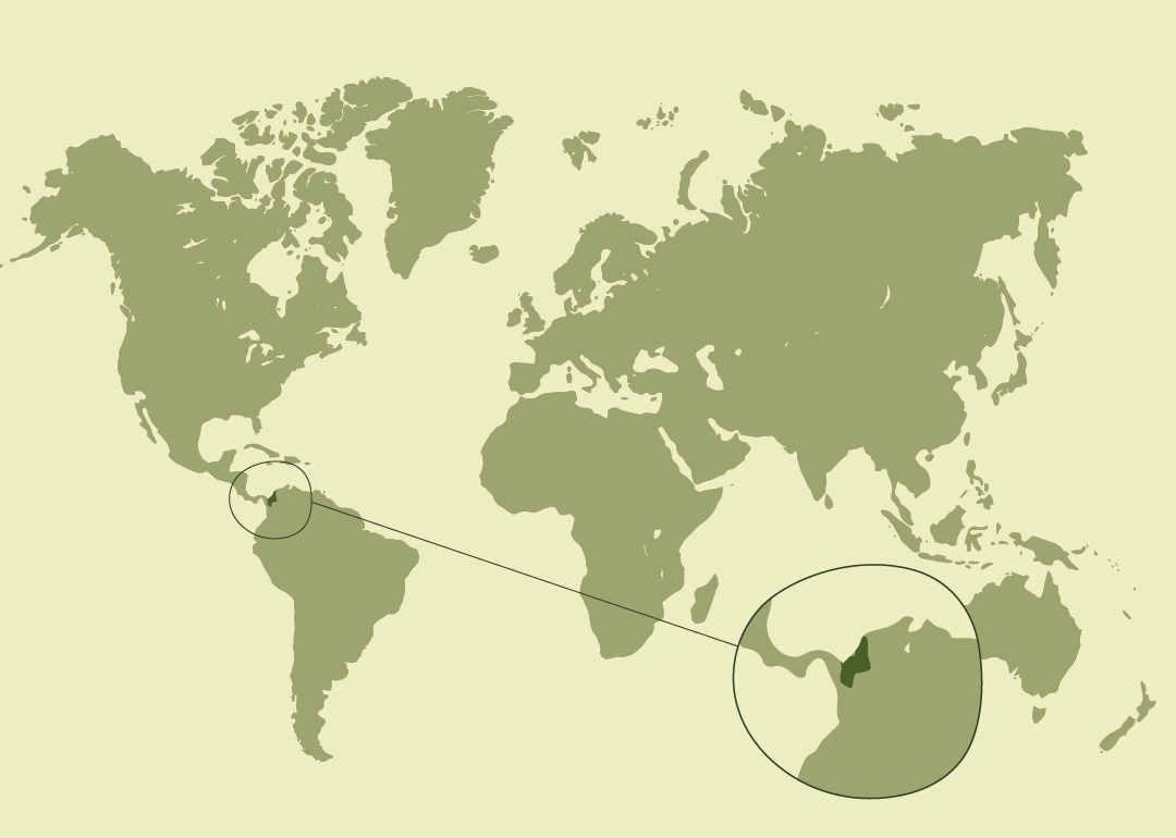 Nativo del noroeste de Colombia; endémico de la región Caribe, entre los ríos Atrato y Magdalena.