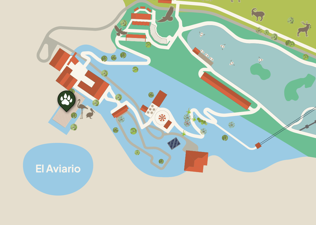 Aviario