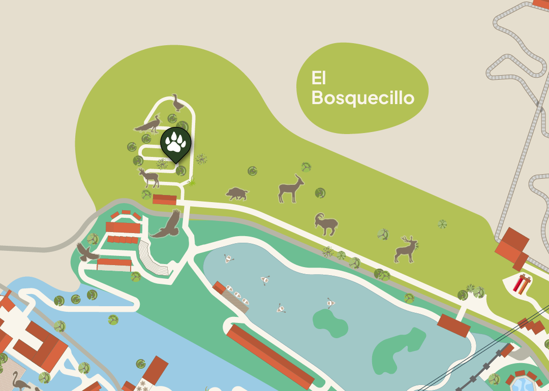 El Bosquecillo