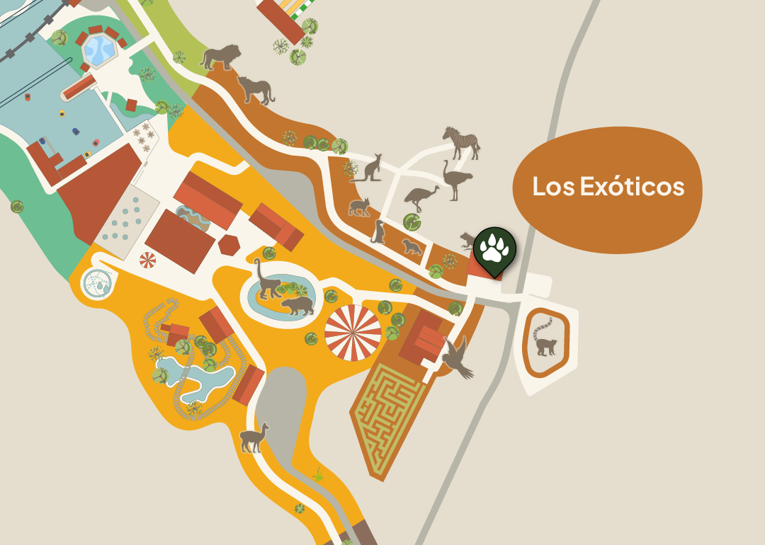 Plaza Exóticos