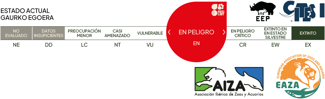 Estado actual - en peligro