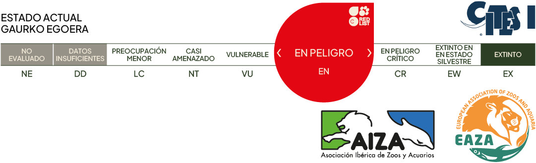 Estado actual - en peligro