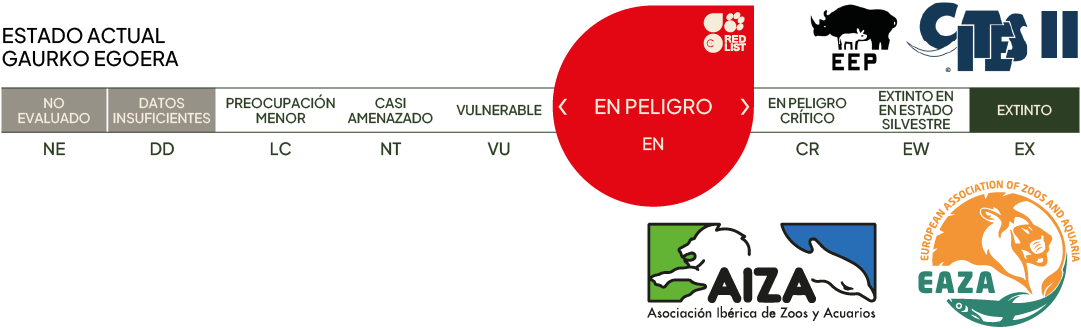 Estado actual - en peligro