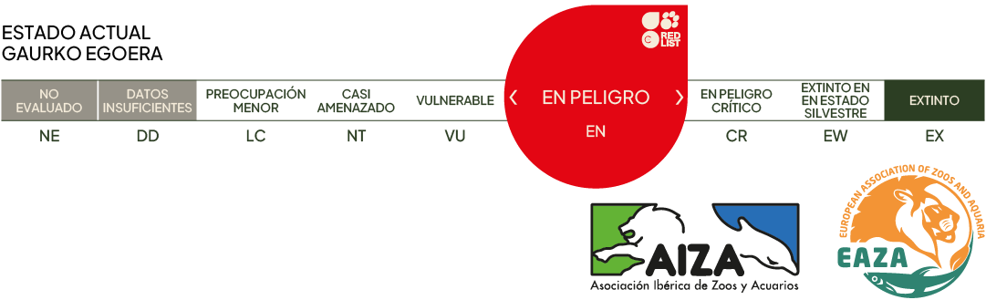 Estado actual - en peligro