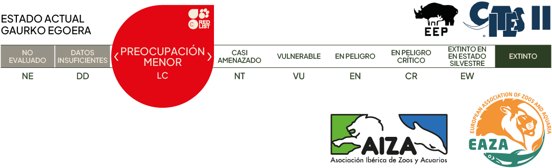 Estado actual - preocupación menor