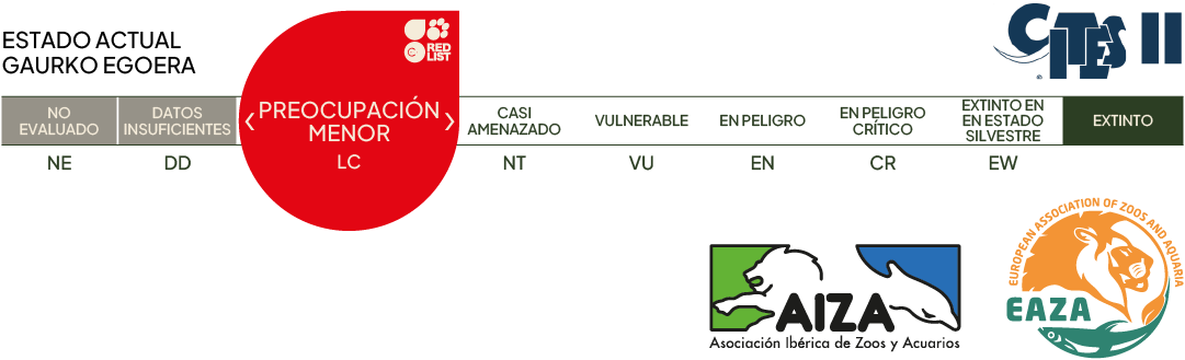 Estado actual - preocupación menor