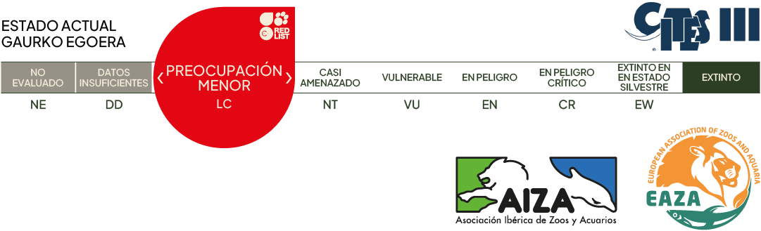 Estado actual - preocupación menor
