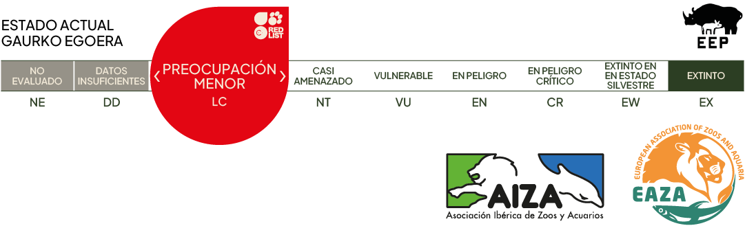 Estado actual - preocupación menor