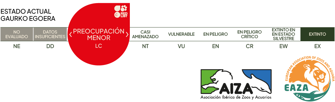 Estado actual - preocupación menor