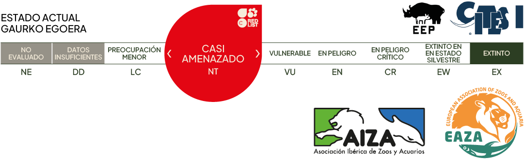 Estado actual - casi amenazado