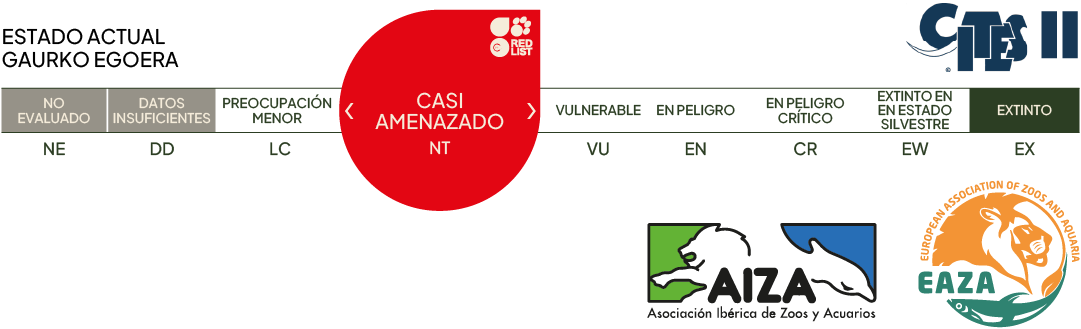 Estado actual - preocupación menor