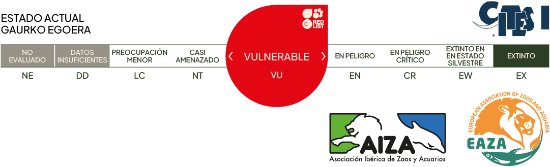 Estado actual - vulnerable