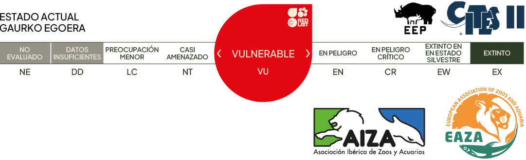 Estado actual - vulnerable