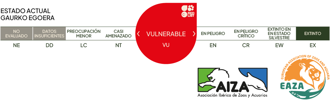 Estado actual - vulnerable