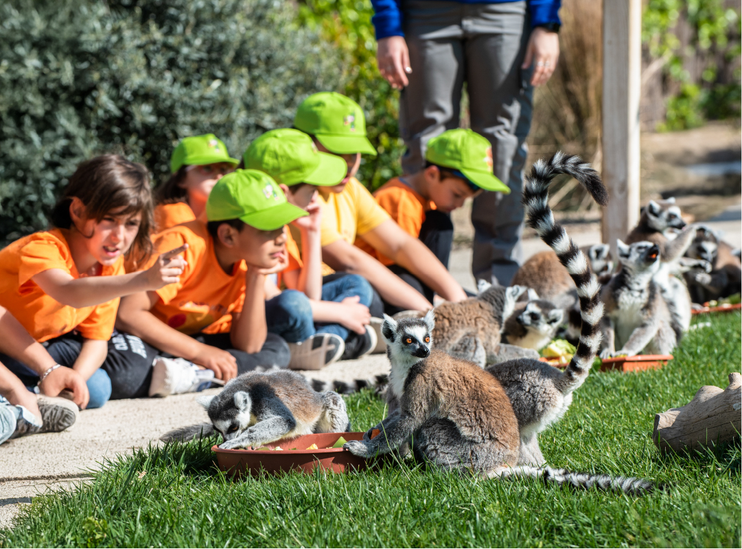 Cuidadores del zoo