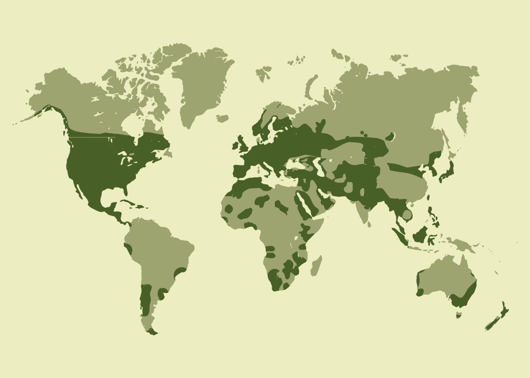 América, Europa y algunas zonas de Africa, Asia y Oceanía