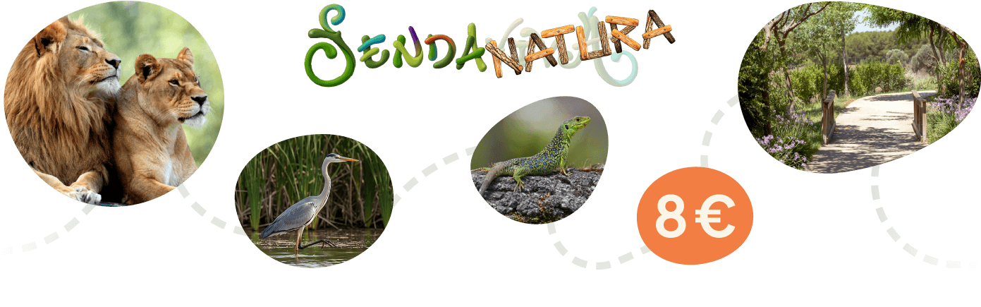 Sendanatura cabecera 2